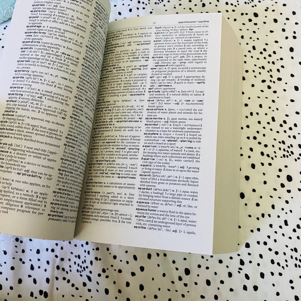 Webster’s Dictionary - Picture 3 of 3